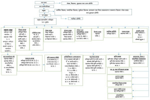 Organizational_Chart_2078.jpg